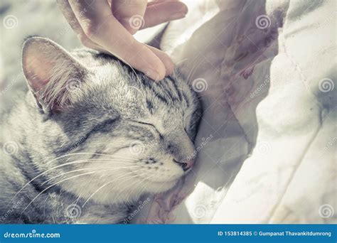 Pussy petting